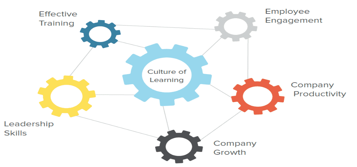 culture of learning